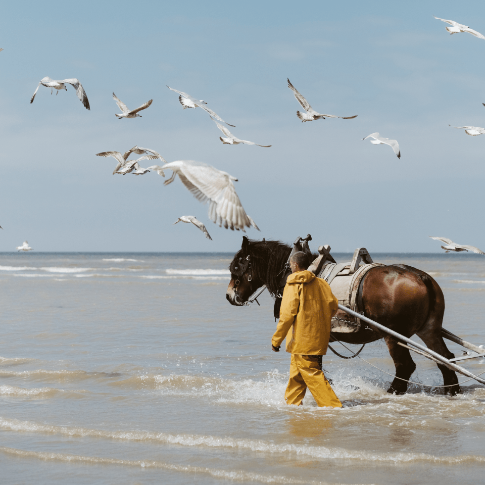 Shrimp fishermen